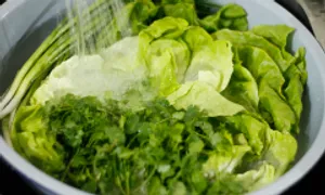 Giảm 8 kg trong 2 tháng do nhiễm 5 loại giun sán Giảm 8 kg trong 2 tháng do nhiễm 5 loại giun sán