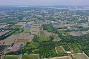Thanh khoản đất nền phía Nam vẫn ảm đạm Thanh khoản đất nền phía Nam vẫn ảm đạm