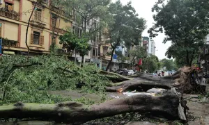 Bão Yagi giảm cấp 'không theo quy luật thông thường' Bão Yagi giảm cấp 'không theo quy luật thông thường'