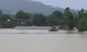 Mất trắng tài sản sau vỡ đê sông Lô Mất trắng tài sản sau vỡ đê sông Lô