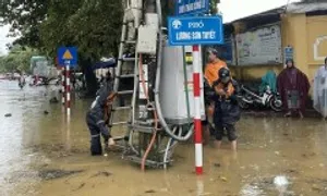 FPT Telecom dồn lực khôi phục hạ tầng mạng vùng bão lũ FPT Telecom dồn lực khôi phục hạ tầng mạng vùng bão lũ