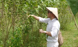 Nhà thiết kế Lê Thanh Hòa nuôi tằm, dệt vải Nhà thiết kế Lê Thanh Hòa nuôi tằm, dệt vải