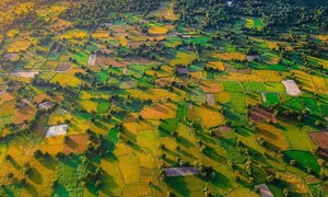 Tỉnh nào nhiều thị trấn nhất Nam Bộ? Tỉnh nào nhiều thị trấn nhất Nam Bộ?