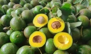 Thực phẩm nào tốt cho người cao huyết áp? Thực phẩm nào tốt cho người cao huyết áp?