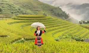 48 giờ ở Mù Cang Chải 48 giờ ở Mù Cang Chải