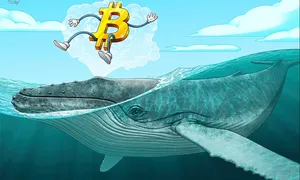 Ví cá voi Bitcoin 'thời đại Satoshi' thức giấc Ví cá voi Bitcoin 'thời đại Satoshi' thức giấc