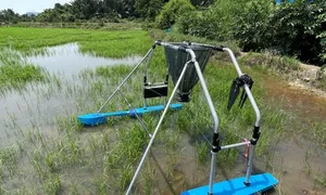 Giảng viên làm máy tự bón phân, phun thuốc trừ sâu cho lúa Giảng viên làm máy tự bón phân, phun thuốc trừ sâu cho lúa