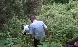 Tội ác của người chồng bị vợ kiểm soát tiền Tội ác của người chồng bị vợ kiểm soát tiền