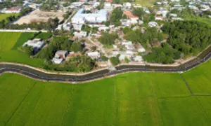 Chuyển đất trồng lúa sang đất ở trái phép, bị xử phạt bao nhiêu? Chuyển đất trồng lúa sang đất ở trái phép, bị xử phạt bao nhiêu?