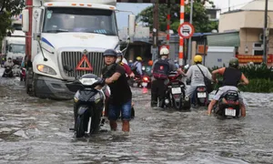 Xe chết máy la liệt trong ngày triều cường Xe chết máy la liệt trong ngày triều cường