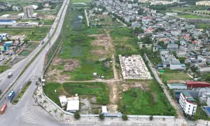 Có phải bán đất đang tranh chấp sẽ bị phạt đến 100 triệu đồng? Có phải bán đất đang tranh chấp sẽ bị phạt đến 100 triệu đồng?