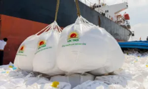 Lộc Trời họp cổ đông bất thường vào tháng 12 Lộc Trời họp cổ đông bất thường vào tháng 12