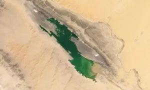 Hồ nước mọc khắp sa mạc Sahara sau mưa lũ Hồ nước mọc khắp sa mạc Sahara sau mưa lũ