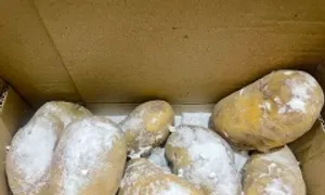 5 món ăn có nguy cơ gây ngộ độc thực phẩm 5 món ăn có nguy cơ gây ngộ độc thực phẩm