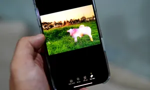 Người dùng bắt đầu có thể trải nghiệm Apple Intelligence Người dùng bắt đầu có thể trải nghiệm Apple Intelligence