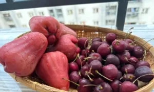 6 thực phẩm giúp giảm căng thẳng 6 thực phẩm giúp giảm căng thẳng