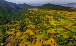 Mekong Startup 2024 thảo luận chủ đề thúc đẩy nền kinh tế xanh Mekong Startup 2024 thảo luận chủ đề thúc đẩy nền kinh tế xanh