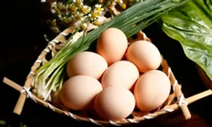Điều gì xảy ra khi ăn trứng hết hạn? Điều gì xảy ra khi ăn trứng hết hạn?