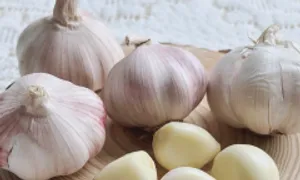 5 món nên ăn để thải độc gan 5 món nên ăn để thải độc gan