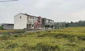 Những đường dây mang thai hộ bất hợp pháp ở Trung Quốc Những đường dây mang thai hộ bất hợp pháp ở Trung Quốc