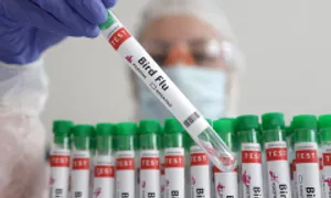 Tiến độ nghiên cứu vaccine cúm gia cầm Tiến độ nghiên cứu vaccine cúm gia cầm
